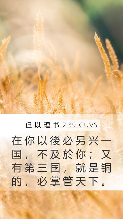 但 以 理 书 2:39 CUVS Bible Verse Image