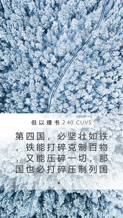 但 以 理 书 2:40 CUVS Mobile Phone Wallpaper - 第 四 国 ， 必 坚 壮 如 铁 ， 铁 能 - Mobile Bible Verse Wallpaper