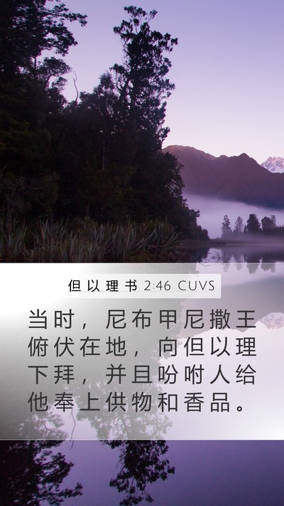 但 以 理 书 2:46 CUVS Bible Verse Image