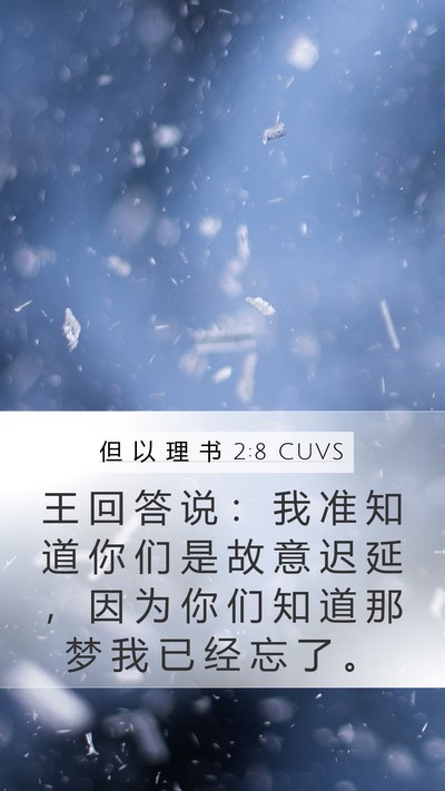 但 以 理 书 2:8 CUVS Mobile Phone Wallpaper - 王 回 答 说 ： 我 准 知 道 你 们 是 - Mobile Bible Verse Wallpaper
