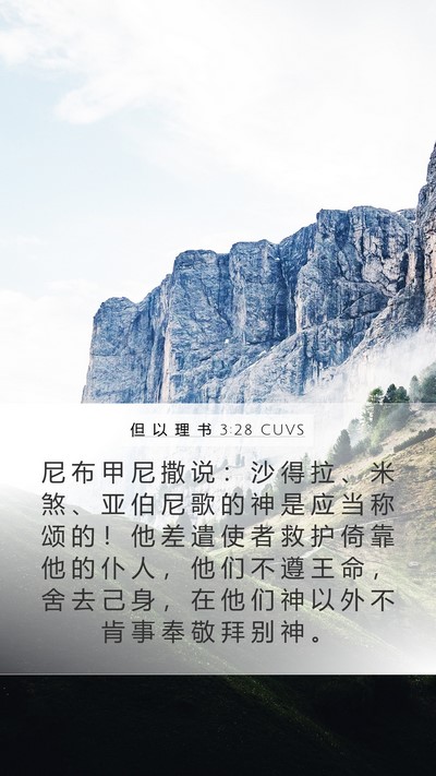 但 以 理 书 3:28 CUVS Bible Verse Image