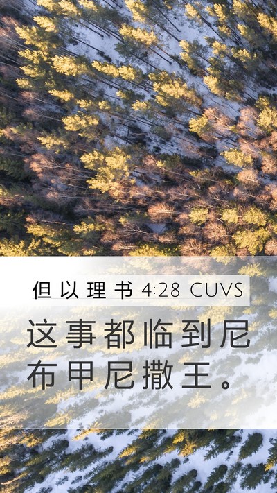 但 以 理 书 4:28 CUVS Mobile Phone Wallpaper - 这 事 都 临 到 尼 布 甲 尼 撒 王 - Mobile Bible Verse Wallpaper
