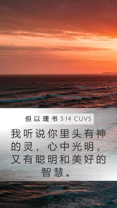 但 以 理 书 5:14 CUVS Bible Verse Image