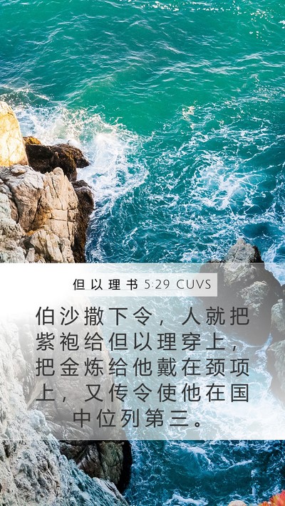 但 以 理 书 5:29 CUVS Bible Verse Image