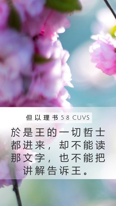 但 以 理 书 5:8 CUVS Bible Verse Image