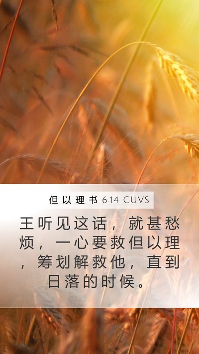 但 以 理 书 6:14 CUVS Mobile Phone Wallpaper - 王 听 见 这 话 ， 就 甚 愁 烦 ， 一 - Mobile Bible Verse Wallpaper