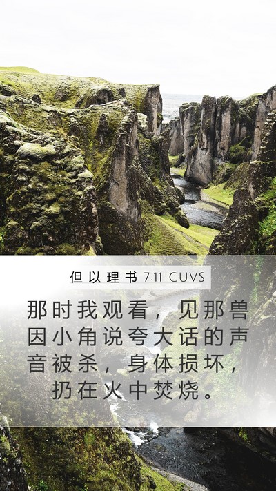 但 以 理 书 7:11 CUVS Bible Verse Image