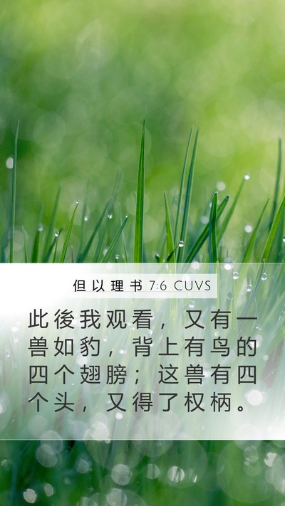 但 以 理 书 7:6 CUVS Bible Verse Image