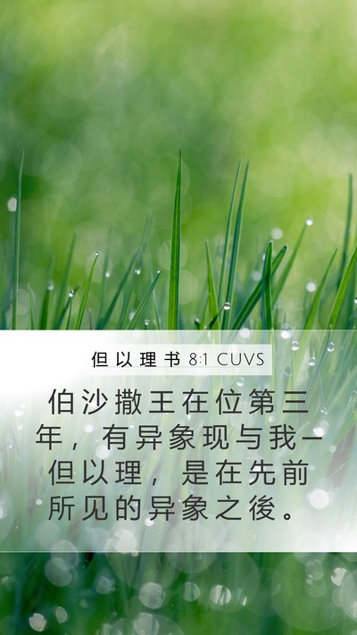 但 以 理 书 8:1 CUVS Bible Verse Image