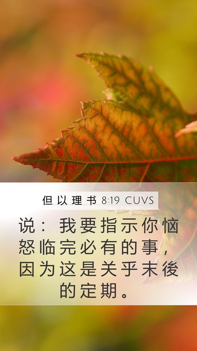 但 以 理 书 8:19 CUVS Bible Verse Image