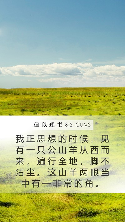 但 以 理 书 8:5 CUVS Mobile Phone Wallpaper - 我 正 思 想 的 时 候 ， 见 有 一 只 - Mobile Bible Verse Wallpaper
