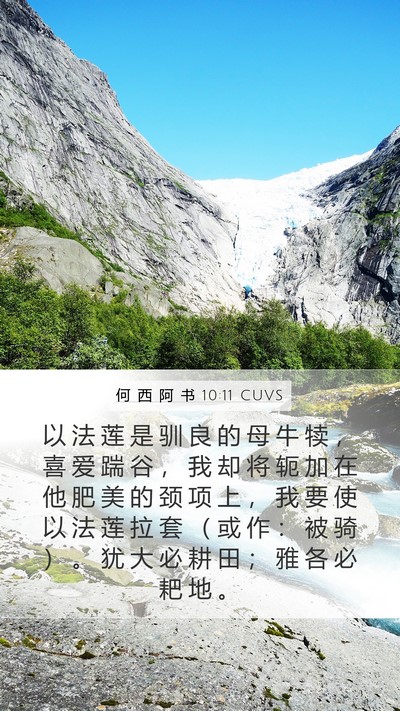 何 西 阿 书 10:11 CUVS Bible Verse Image