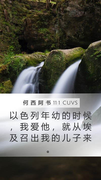何 西 阿 书 11:1 CUVS Bible Verse Image