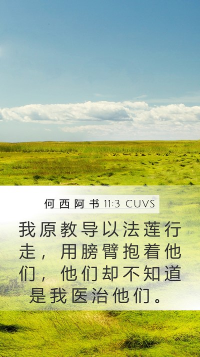 何 西 阿 书 11:3 CUVS Mobile Phone Wallpaper - 我 原 教 导 以 法 莲 行 走 ， 用 膀 - Mobile Bible Verse Wallpaper