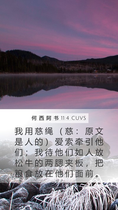 何 西 阿 书 11:4 CUVS Bible Verse Image