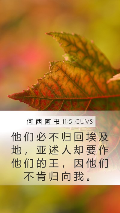 何 西 阿 书 11:5 CUVS Bible Verse Image