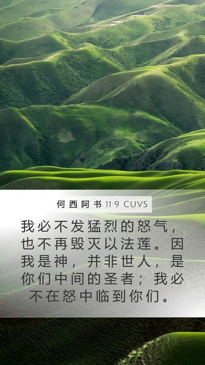 何 西 阿 书 11:9 CUVS Bible Verse Image