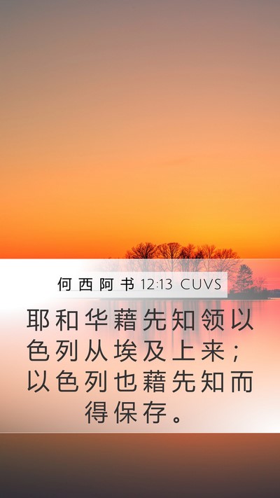 何 西 阿 书 12:13 CUVS Bible Verse Image