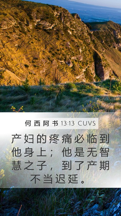 何 西 阿 书 13:13 CUVS Bible Verse Image