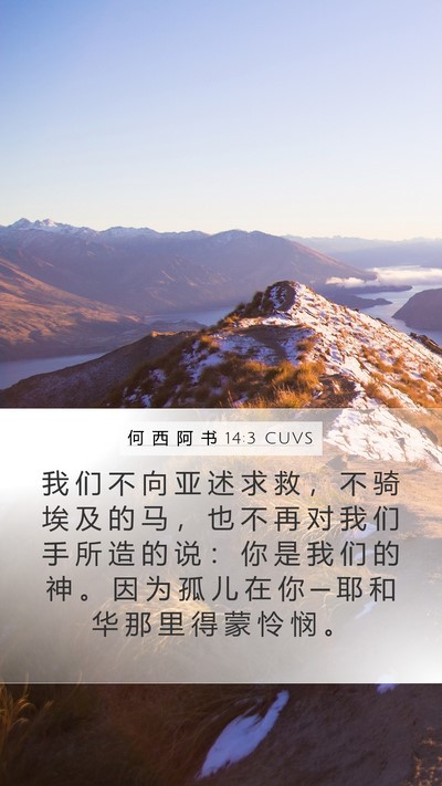 何 西 阿 书 14:3 CUVS Bible Verse Image