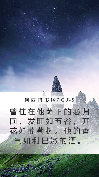 何 西 阿 书 14:7 CUVS Bible Verse Image