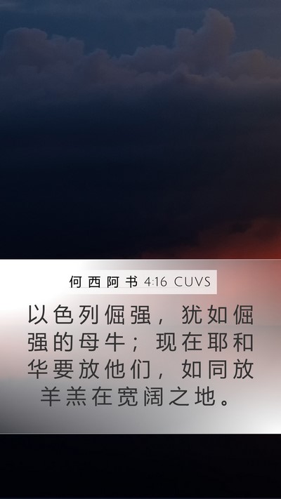 何 西 阿 书 4:16 CUVS Bible Verse Image