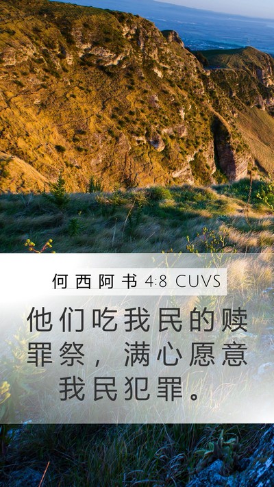 何 西 阿 书 4:8 CUVS Bible Verse Image