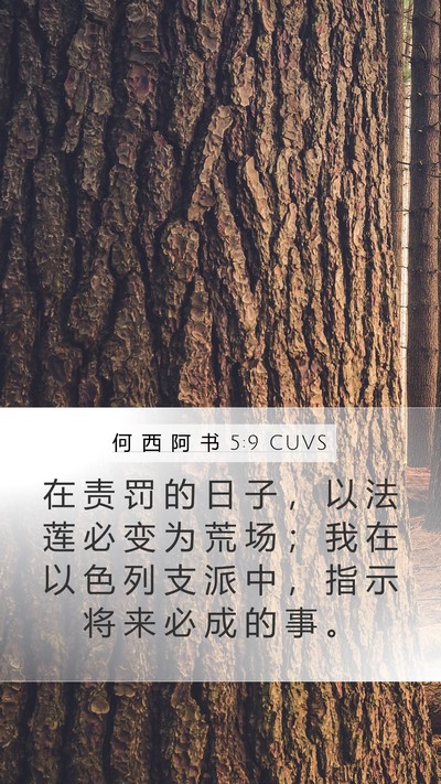 何 西 阿 书 5:9 CUVS Bible Verse Image
