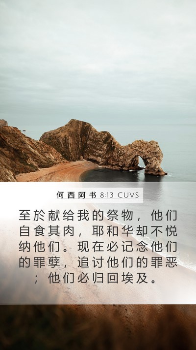 何 西 阿 书 8:13 CUVS Bible Verse Image