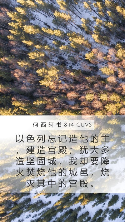 何 西 阿 书 8:14 CUVS Bible Verse Image