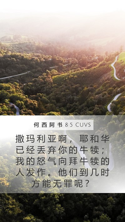 何 西 阿 书 8:5 CUVS Mobile Phone Wallpaper - 撒 玛 利 亚 啊 ， 耶 和 华 已 经 丢 - Mobile Bible Verse Wallpaper