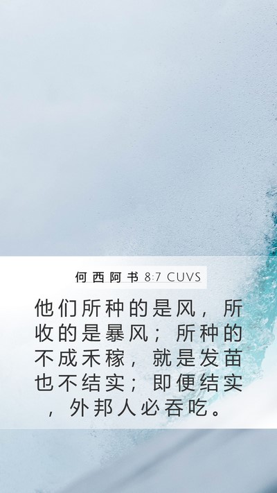 何 西 阿 书 8:7 CUVS Bible Verse Image