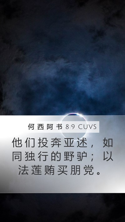 何 西 阿 书 8:9 CUVS Bible Verse Image