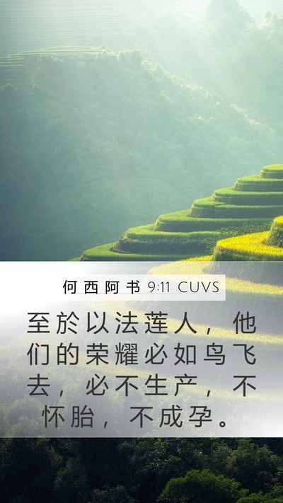 何 西 阿 书 9:11 CUVS Bible Verse Image