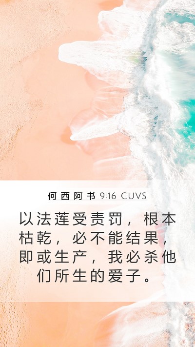 何 西 阿 书 9:16 CUVS Bible Verse Image