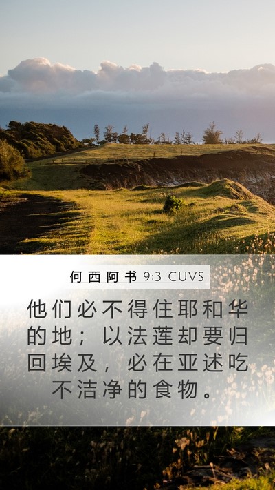 何 西 阿 书 9:3 CUVS Bible Verse Image