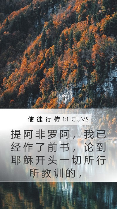 使 徒 行 传 1:1 CUVS Mobile Phone Wallpaper - 提 阿 非 罗 阿 ， 我 已 经 作 了 前 - Mobile Bible Verse Wallpaper