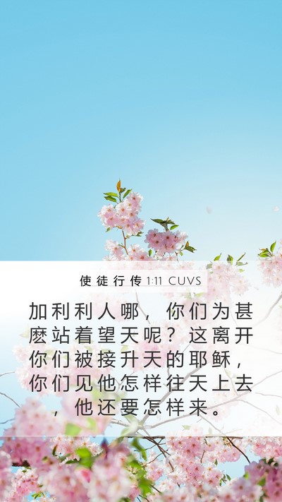 使 徒 行 传 1:11 CUVS Bible Verse Image