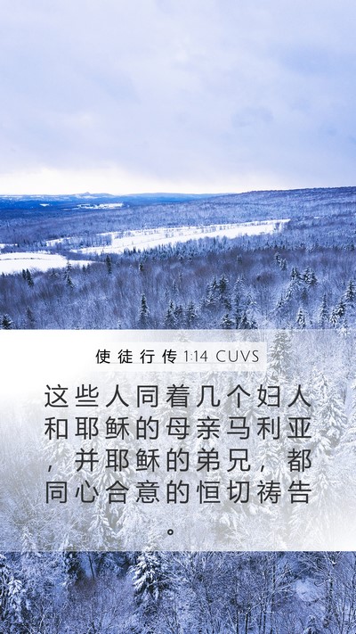 使 徒 行 传 1:14 CUVS Bible Verse Image
