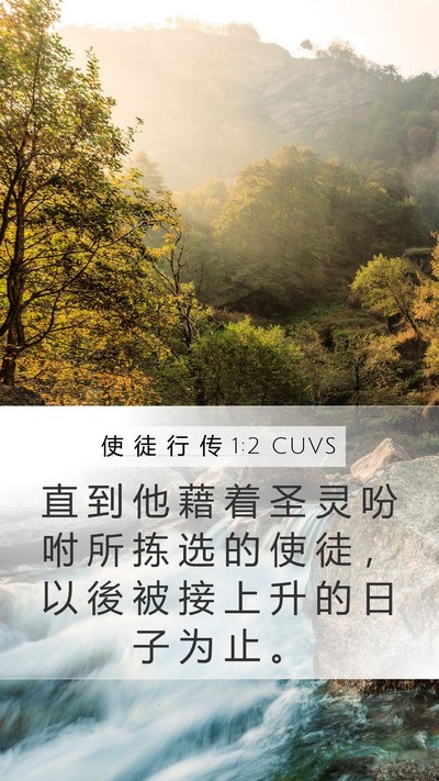 使 徒 行 传 1:2 CUVS Bible Verse Image