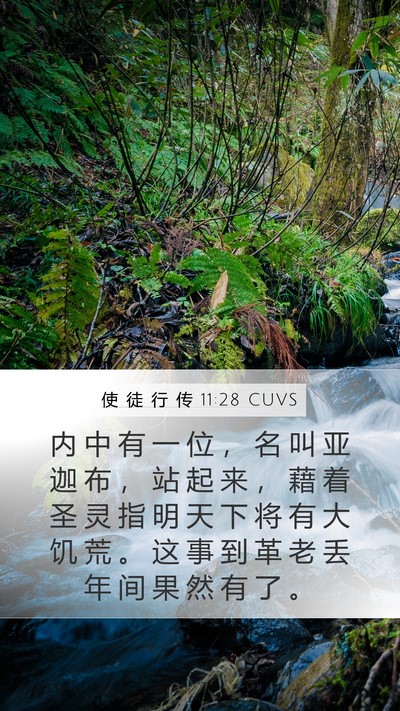 使 徒 行 传 11:28 CUVS Bible Verse Image
