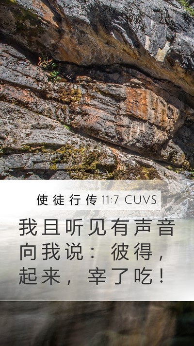使 徒 行 传 11:7 CUVS Bible Verse Image