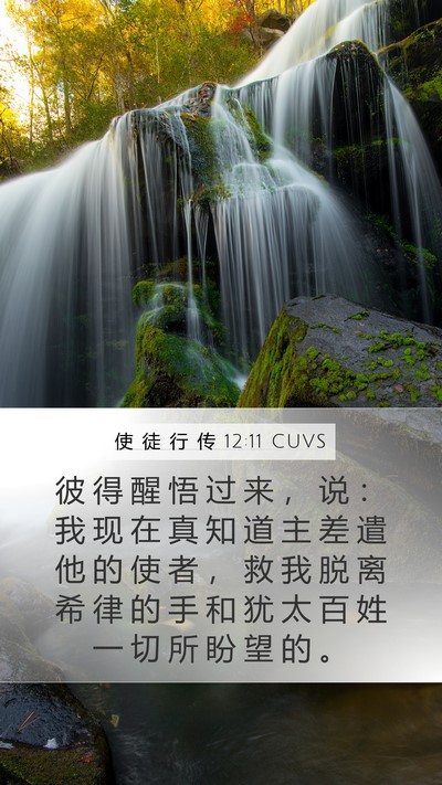 使 徒 行 传 12:11 CUVS Bible Verse Image