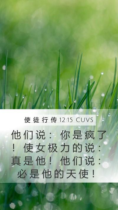 使 徒 行 传 12:15 CUVS Bible Verse Image