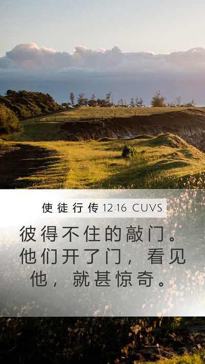 使 徒 行 传 12:16 CUVS Bible Verse Image