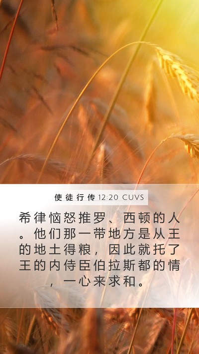 使 徒 行 传 12:20 CUVS Bible Verse Image
