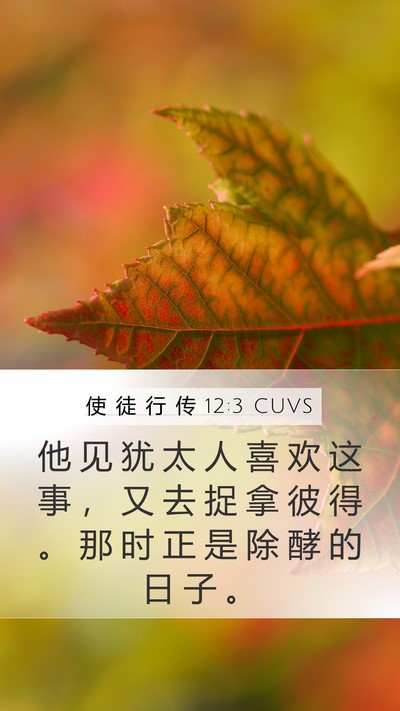 使 徒 行 传 12:3 CUVS Bible Verse Image