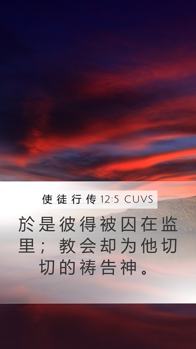 使 徒 行 传 12:5 CUVS Bible Verse Image