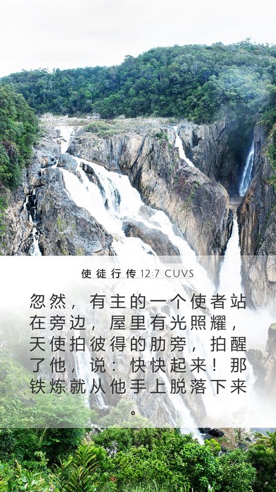 使 徒 行 传 12:7 CUVS Bible Verse Image
