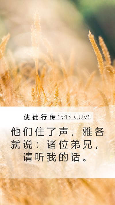 使 徒 行 传 15:13 CUVS Bible Verse Image